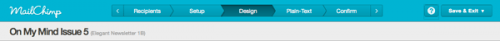 Mailchimp editor after pic